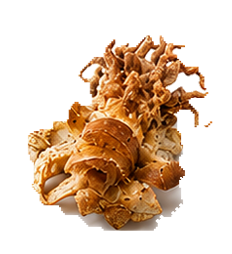 SOTONG GUNTING