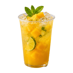 Tropical Mango Mojito